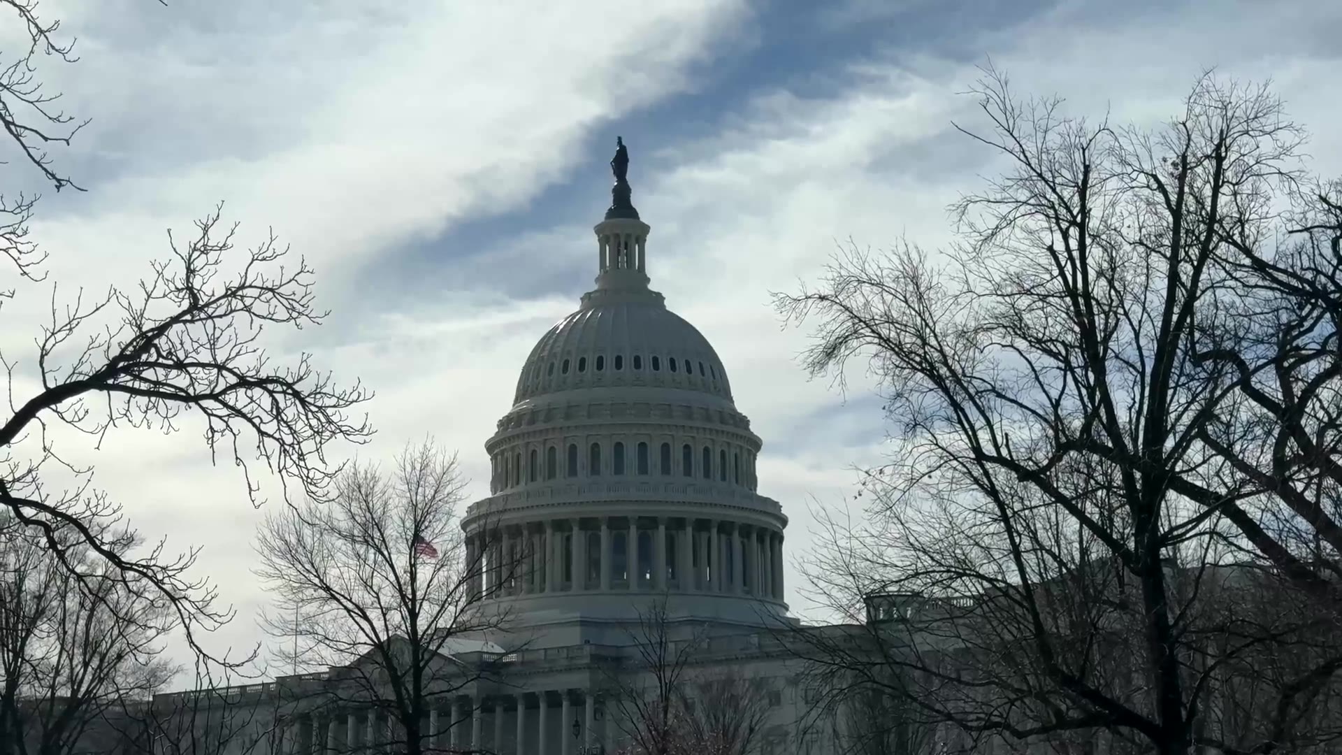 The United States Capitol dome framed by winter trees, Washington, DC