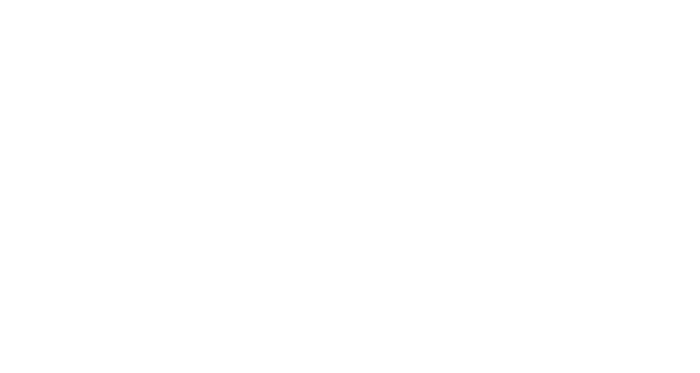 The Shull Group